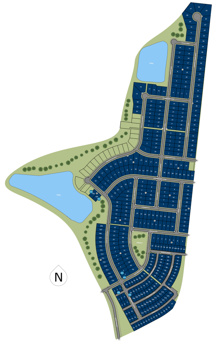 risewell homes freedom at anthem site plan rendering